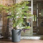 Plant pot Deroma Grey Plastic Circular Cylinder - Image 4