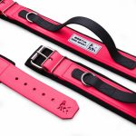 BESTIA DOG SPORT HANDLE COLLAR NEON PINK