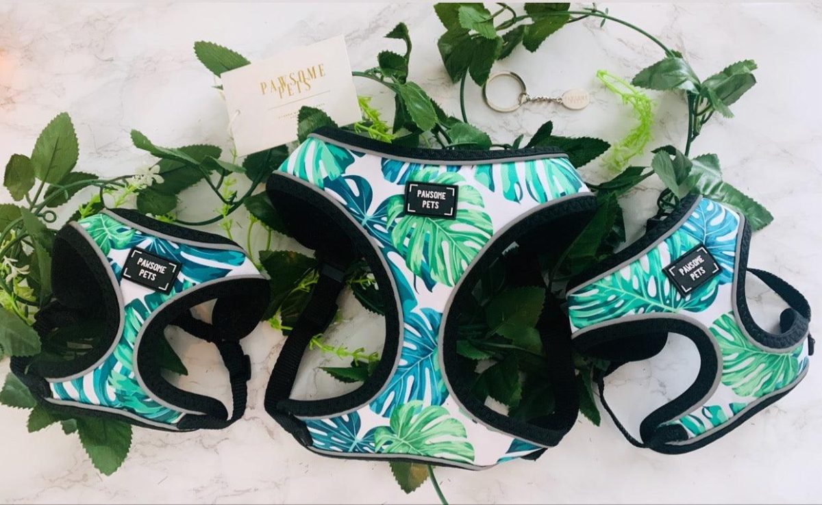 ADJUSTABLE HARNESS - NAPA - Image 3