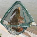 Ultra-Light Foldable Fishing Net with Telescopic Handle - Image 4