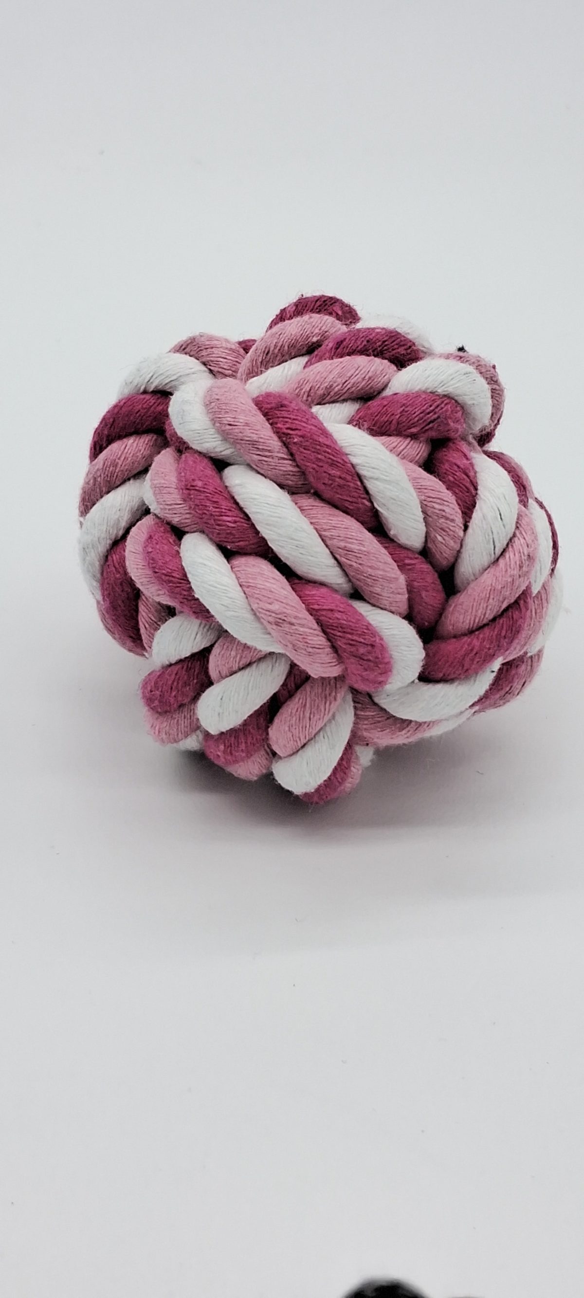 Fetch Ball - Image 6