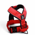 BESTIA DOG SPORT GripPro Heavy Duty Harness - Image 15