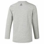 Children’s Long Sleeve T-Shirt Reebok Boys Training Essentials Light grey - Image 5