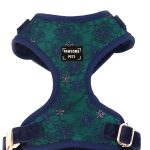 ADJUSTABLE HARNESS - AQUAMARINE