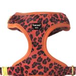 ADJUSTABLE HARNESS - ORANGE LEOPARD