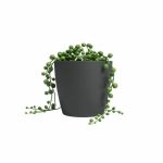 Planter Artevasi SAN REMO Anthracite - Image 2