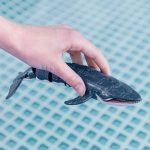 Set Colorbaby Racing Boat Radio control Whale - Image 2