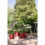 Plant pot Elho rouge 35 x 34,5 x 26 cm - Image 4