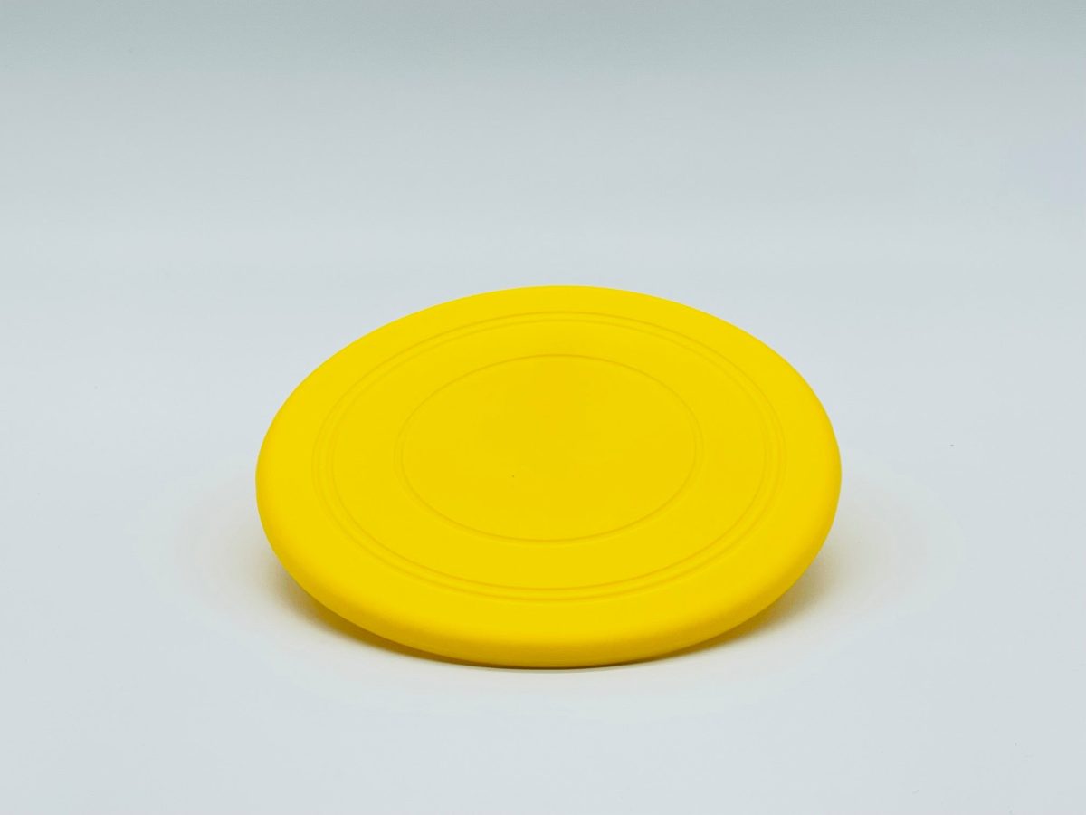 Fetch Me Frisbee - Image 2