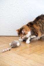 Natural Sheepskin Cat Toy: Squid - Image 3