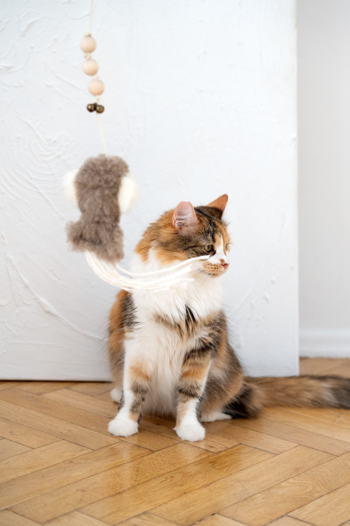 Natural Sheepskin Cat Toy: Squid - Image 1
