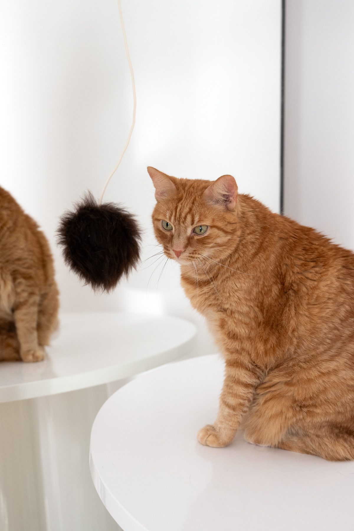 Natural Sheepskin Cat Toy: Ball - Image 2