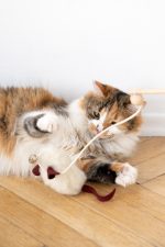 Natural Sheepskin Cat Toy: Mouse - Image 5