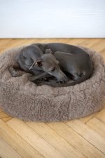 Oval Natural Wool Pet Bed - Beige - Image 5