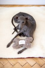 Natural Woolen Dog Toy - Bone - Charcoal - Image 3