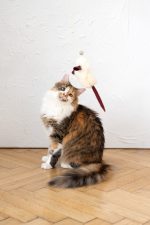 Natural Sheepskin Cat Toy: Mouse - Image 3
