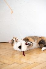 Natural Sheepskin Cat Toy: Mouse - Image 2