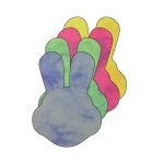 SHAPES ETC.  Small Marble Assorted Cut-Out - Bunny with Ears