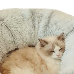 NNEDSZ Rainbow Luxury Plush Cat Bed with Hidden Tunnel - Soft Round Pet Bed for Cats and Small Dogs - Image 4