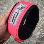 BESTIA DOG SPORT COLLAR NEON PINK - Image 3
