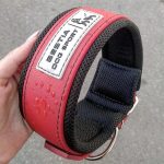 BESTIA DOG SPORT COLLAR RED - Image 3