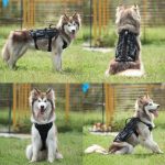 Durable Dog Harness Tactical Military Dog Vest No Pull Pet Training Harnesses Vest for Medium Large Dogs M L XL - Image 4
