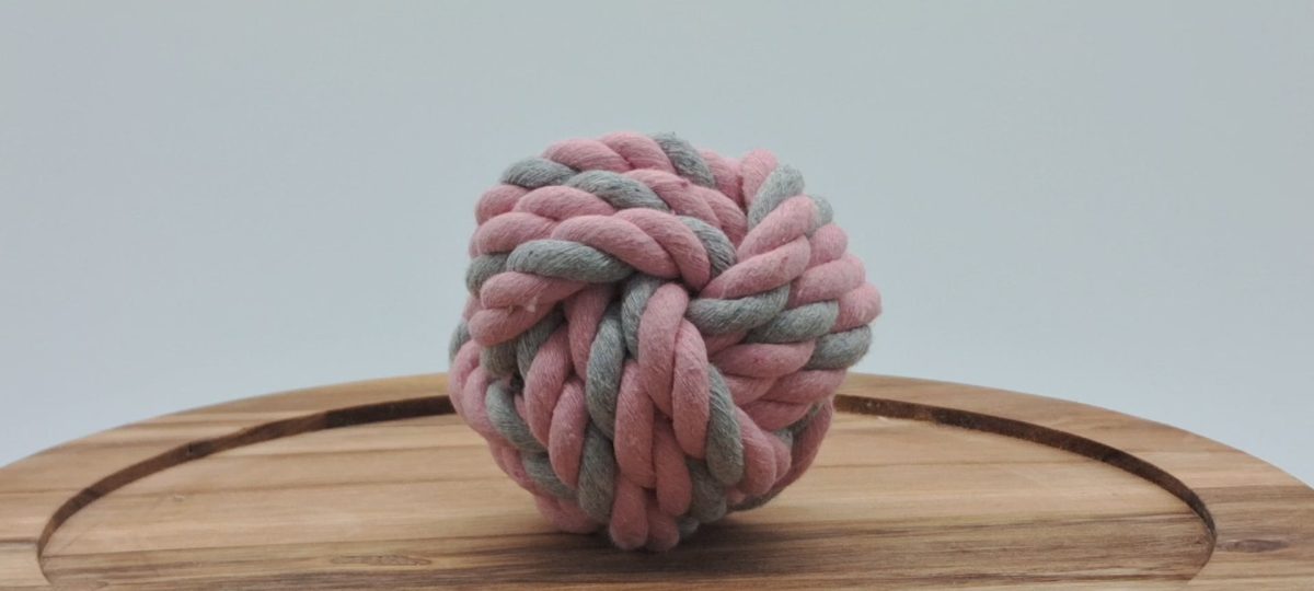 Fetch Ball - Image 8