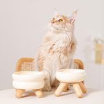 Gulu Ceramic Pet Food Bowl