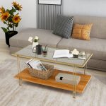 NNECW 2 Tier Rectangular Coffee Table with Gold Steel Frame and Storage Shelf for Living Room