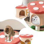 Macska mászóka gomba - Image 4