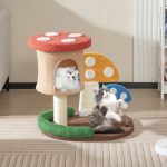 Macska mászóka gomba - Image 5