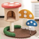 Macska mászóka gomba - Image 2