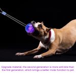 Interactive Pet Toys For Cats Dogs Training Suction Cup Push Ball Toys Elastic Ropes Pet Tooth Cleaning Chewing IQ Exercise New - Image 4