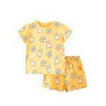 Summer Baby Kids Girls Cartoon Rabbit And Flowers Pattern T-Shirt And Shorts Clothing Set