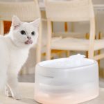 Smart Temperature UVC Sterilization Water Fountain