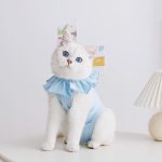 Sweet Cat Recovery Suit - Image 6