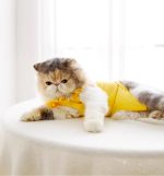 Sweet Cat Recovery Suit - Image 11