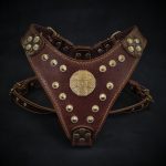 The ''Maximus'' harness Brown & Gold Small to Medium Size
