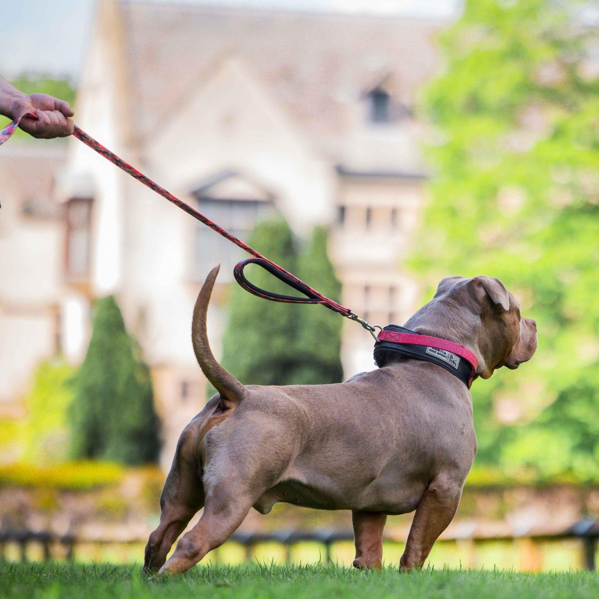 BESTIA DOG SPORT dual handle leash Red Camo - Image 3